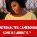 Visuel de Visartculture