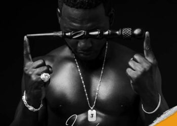 Pochette de l'album