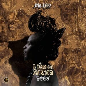 Pochette de l'album 