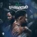 Pochette du single
